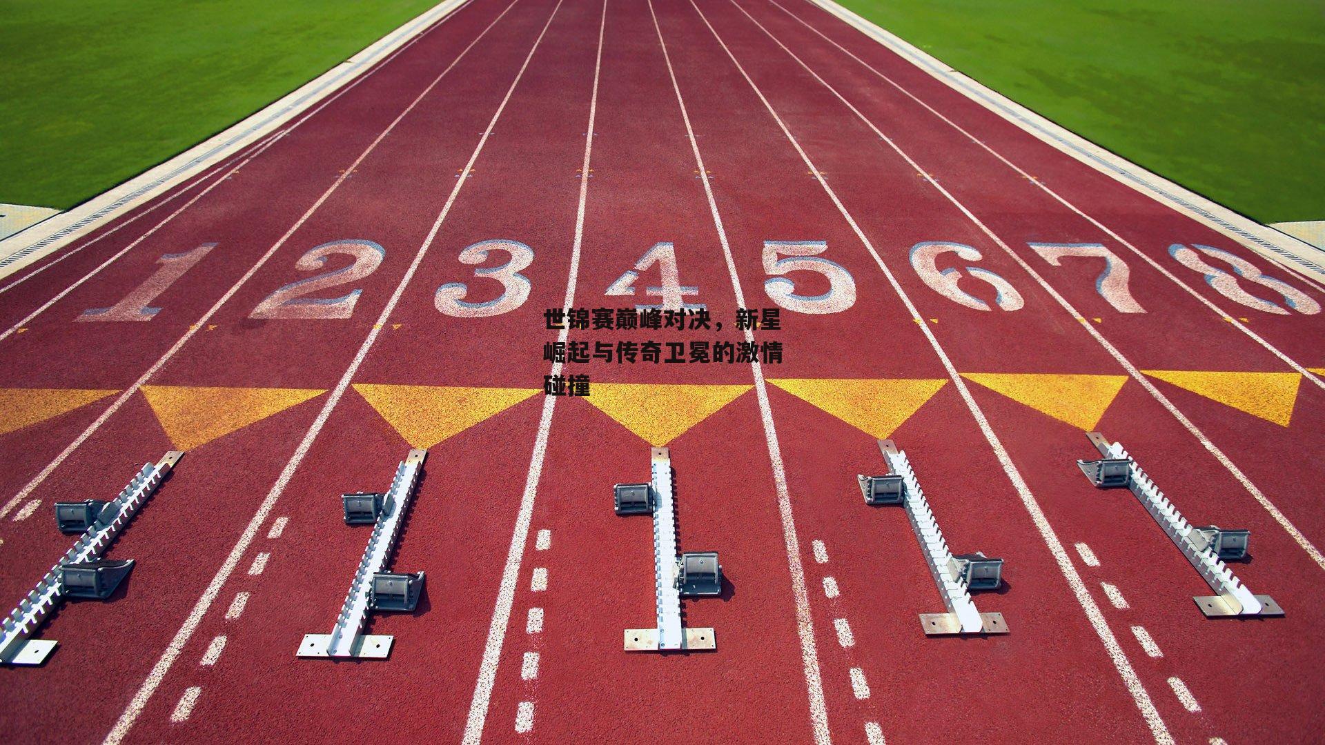 世锦赛巅峰对决,新星崛起与传奇卫冕的激情碰撞