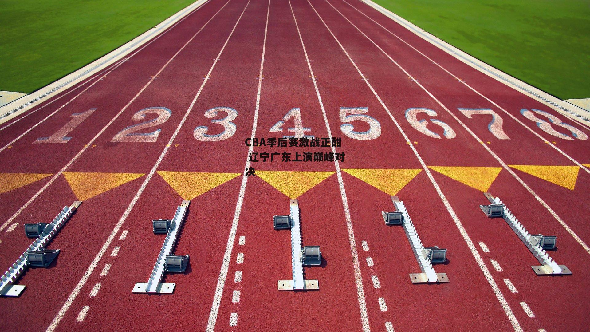 CBA季后赛激战正酣 辽宁广东上演巅峰对决