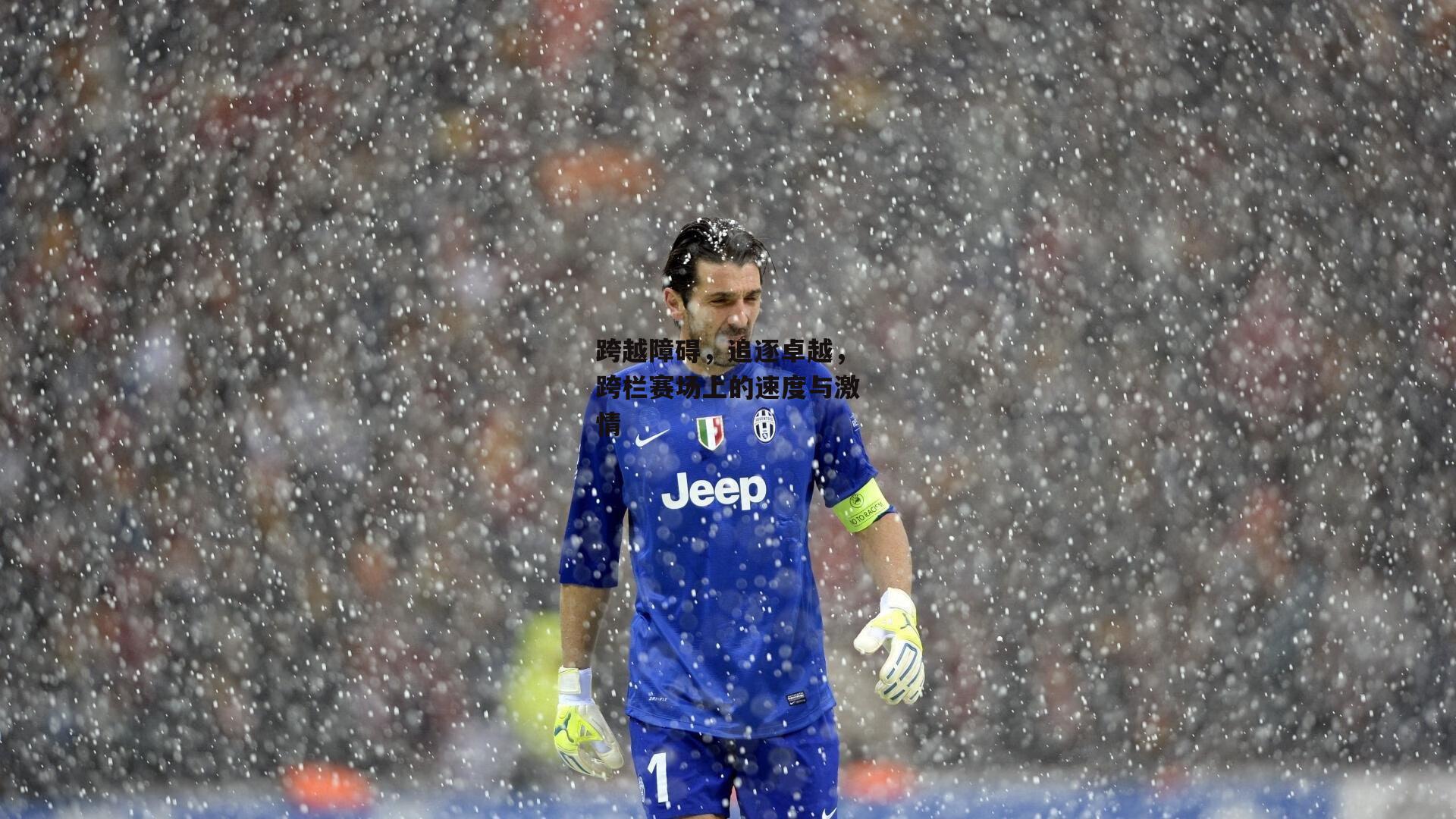 跨越障碍,追逐卓越,跨栏赛场上的速度与激情